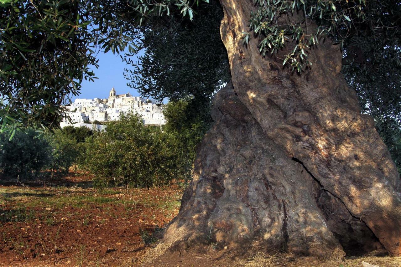 B&B La Stradella Ostuni Kültér fotó
